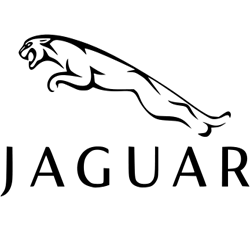 eibach jaguar