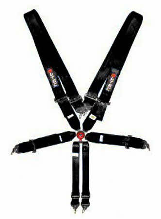 6 punts FIA Gordel Zwart